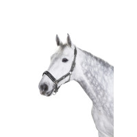 Eskadron Halfter Schnalle