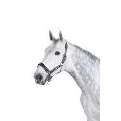 Eskadron Halfter Schnalle