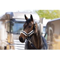 Eskadron Halfter Kunstfell Doppelpin Schwarz Eskadron Halfter Kunstfell Doppelpin Schwarz