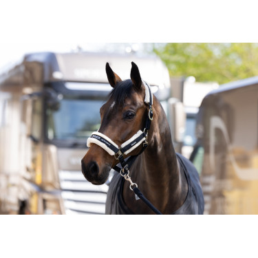 Eskadron Halfter Kunstfell Doppelpin Schwarz Eskadron Halfter Kunstfell Doppelpin Schwarz