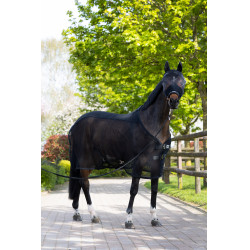 Halfter und Fliegenmaske Eskadron Schwarz