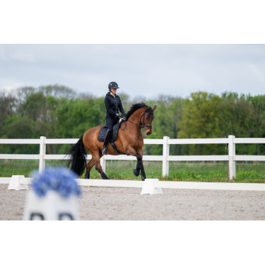 Damenreithose Pikeur New Lugana mit Kunstleder-Vollbesatz 0908 mittelhoher Bund Schwarz