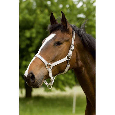 Halfter Equithème Nylon