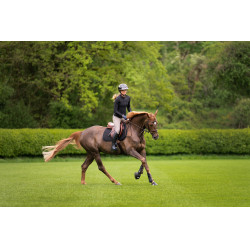 Hose Amia 6805 Pikeur Kniebesatz mittelhoher Bund Damen Maulwurf Braun