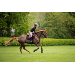 Hose Amia 6805 Pikeur Kniebesatz mittelhoher Bund Damen Maulwurf Braun