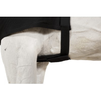 Schulterschutz Eskadron Dynair Mesh Schwarz Schulterschutz Eskadron Dynair Mesh Schwarz