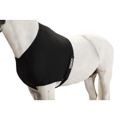 Schulterschutz Eskadron Dynair Mesh Schwarz Schulterschutz Eskadron Dynair Mesh Schwarz