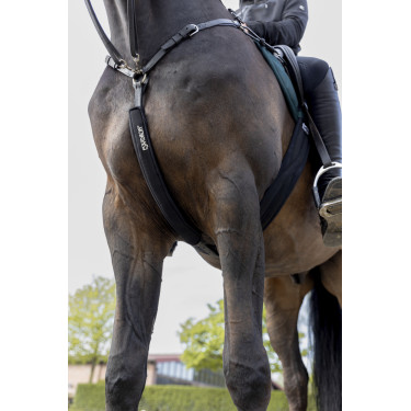 Martingalschoner Eskadron Neopren Schwarz