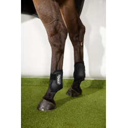 Hintere Eskadron Compact Fesselkopfschoner Schwarz