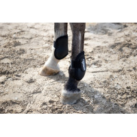 Hintere Eskadron Compact Fesselkopfschoner Weiß Weiß