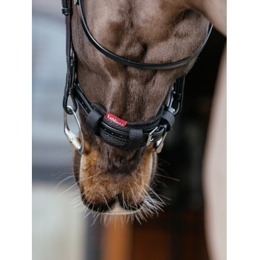 Nasenschutz LeMieux Schwarz