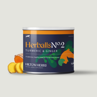 Pferde-Leckerli Kurkuma & Ingwer | Hilton Herbs | Equi-Clic