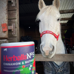 Herballs Nr. 5 Zimt & Muskatnuss Hilton Herbs Herballs Nr. 5 Zimt & Muskatnuss Hilton Herbs