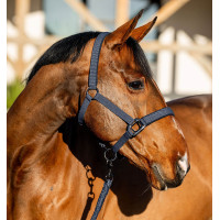 Halfter und Führstrick Amigo Horseware Marine Marineblau Halfter und Führstrick Amigo Horseware Marine Marineblau