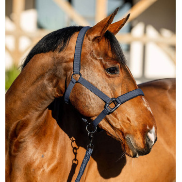 Halfter und Führstrick Amigo Horseware Halfter und Führstrick Amigo Horseware