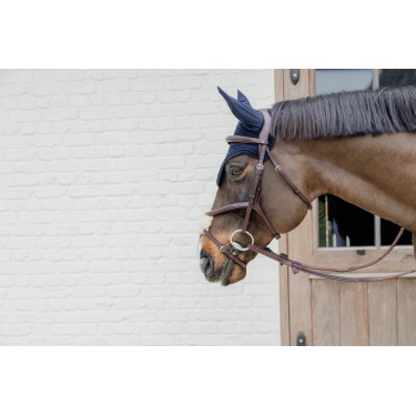 Geflochtener Trensenzaum mit kombiniertem Reithalfter New English Collection by Dy'on Geflochtener Trensenzaum mit kombiniertem Reithalfter New English Collection by Dy'on