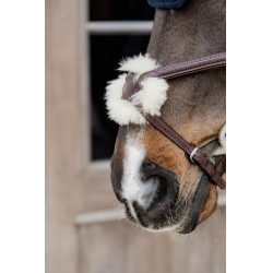 Geflochtener Trensenzaum mit kombiniertem Reithalfter New English Collection by Dy'on Geflochtener Trensenzaum mit kombiniertem Reithalfter New English Collection by Dy'on