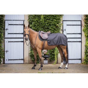 Nierendecke Quarter Wooltouch Paddock Sports