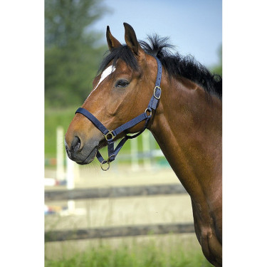 Nylonhalfter mit Leder unterlegt Norton Nylonhalfter mit Leder unterlegt Norton