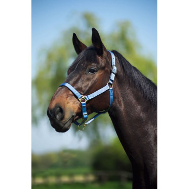 Nylonhalfter mit Leder unterlegt Norton Nylonhalfter mit Leder unterlegt Norton