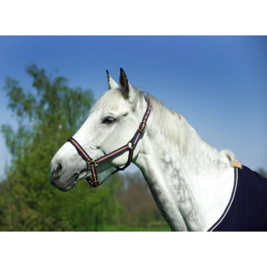 Nylonhalfter mit Leder unterlegt Norton Nylonhalfter mit Leder unterlegt Norton