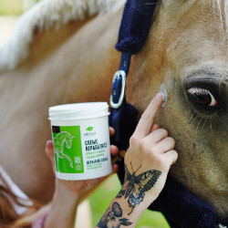 Reparierende Creme Ekinat Reparierende Creme Ekinat