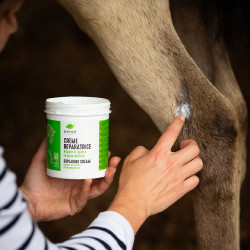Reparierende Creme Ekinat Reparierende Creme Ekinat