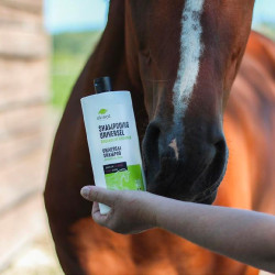 Universelles Shampoo Ekinat Universelles Shampoo Ekinat