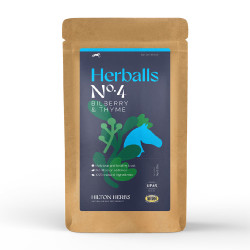 Herballs Nr. 4 Heidelbeere & Thymian Hilton Herbs Herballs Nr. 4 Heidelbeere & Thymian Hilton Herbs