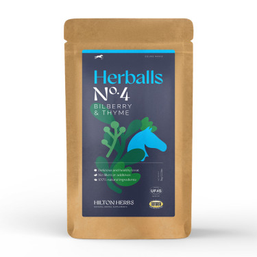 Herballs Nr. 4 Heidelbeere & Thymian Hilton Herbs Herballs Nr. 4 Heidelbeere & Thymian Hilton Herbs