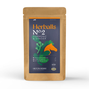 Herballs Nr. 2 Kurkuma & Ingwer Hilton Herbs