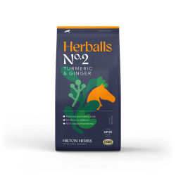 Herballs Nr. 2 Kurkuma & Ingwer Hilton Herbs