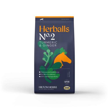 Herballs Nr. 2 Kurkuma & Ingwer Hilton Herbs