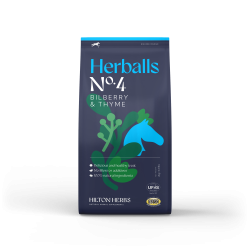 Herballs Nr. 4 Heidelbeere & Thymian Hilton Herbs Herballs Nr. 4 Heidelbeere & Thymian Hilton Herbs