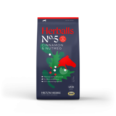 Pferdeleckerlis Zimt & Muskatnuss – Hilton Herbs Herballs