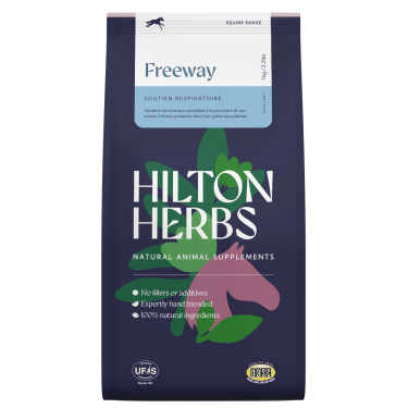 Freeway Hilton Kräuter Freeway Hilton Kräuter
