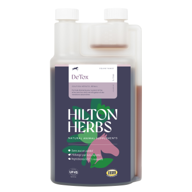 Detox Plus Wettbewerb Hilton Herbs Detox Plus Wettbewerb Hilton Herbs