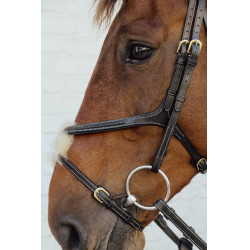 Trense mit geflochtenem Kombinationsnasenriemen D Collection Dy'on Schwarz