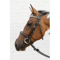 Anatomisches Reithalfter ohne Kehlriemen D Collection Dy'on Schwarz