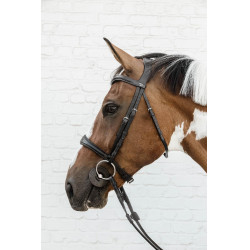 Anatomisches Reithalfter ohne Kehlriemen New English Collection Dy'on Schwarz