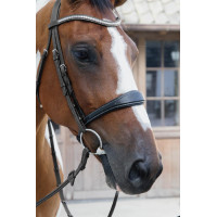 Anatomisches Reithalfter ohne Kehlriemen Kollektion US Jumping Dy'on Schwarz