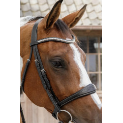 Anatomisches Reithalfter ohne Kehlriemen Kollektion US Jumping Dy'on Schwarz