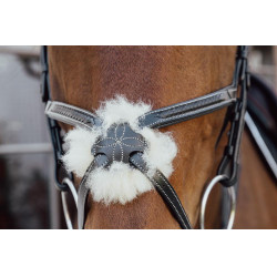 Geflochtener Kombi-Nasenriemen D Collection Dy'on Schwarz Geflochtener Kombi-Nasenriemen D Collection Dy'on Schwarz