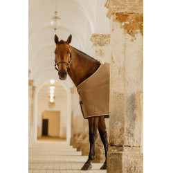 Showtrocknend vegane Wolle Kentucky Beige Showtrocknend vegane Wolle Kentucky Beige