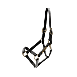 Lederhalfter Wellington Kentucky Schwarz