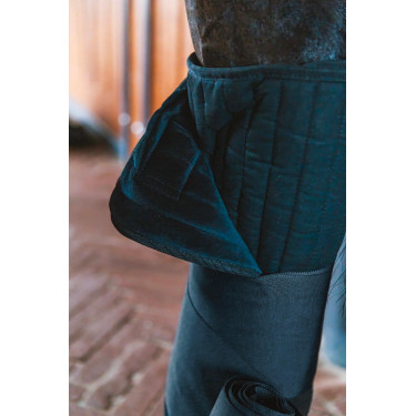 Amerikanische Baumwolle Kentucky Schwarz