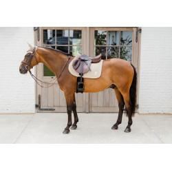 Teppich Onion Quilt 3D Logo Jumping Beige Kentucky Beige