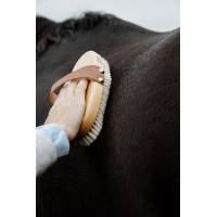 Weiche Bürste Grooming Deluxe Braun