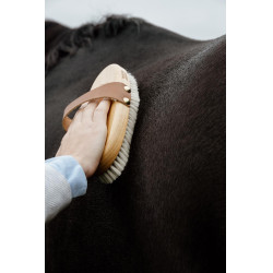 Weiche Bürste Grooming Deluxe Braun