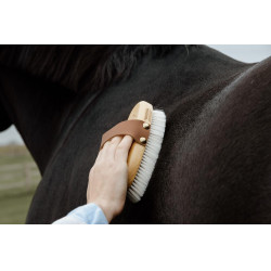 Weiche Bürste mit sanften Borsten Small Grooming Deluxe